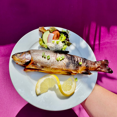 Speisen und Getränke im Fischerstüble Lorenz – hier: Unsere geräucherte Forelle